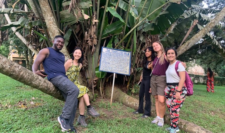 Why we love our day trips so much