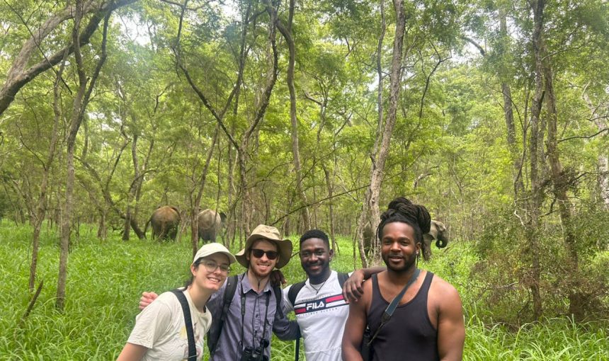 Why you haven’t been to Mole National Park yet